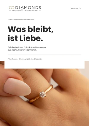 Cover des kostenlosen E-Books Was bleibt, ist Liebe.